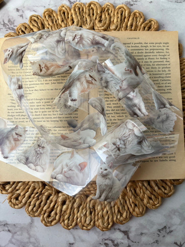 Cat Lover PET Tape - Snow Edition